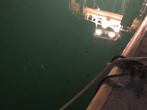 女川の夜のたのしみ方！「夜釣り」を体験