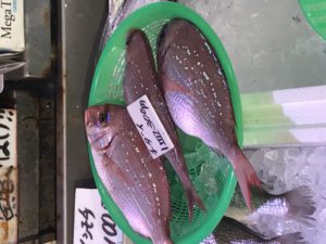 女川２日目、浦宿・女川ぶらりとはじめての魚料理