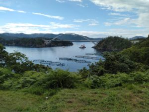 女川お試し移住の振り返り