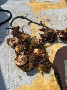 船に乗りましたー！！！