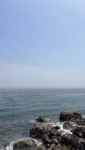 最近のお気に入りスポット