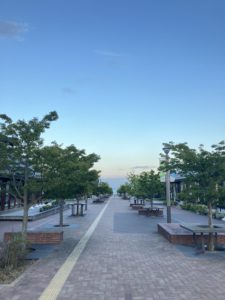 お試し移住を終えて