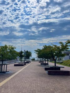 移住プログラム〜14日目〜