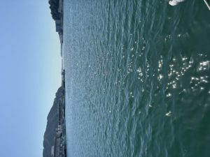 久々のおながわっっ！