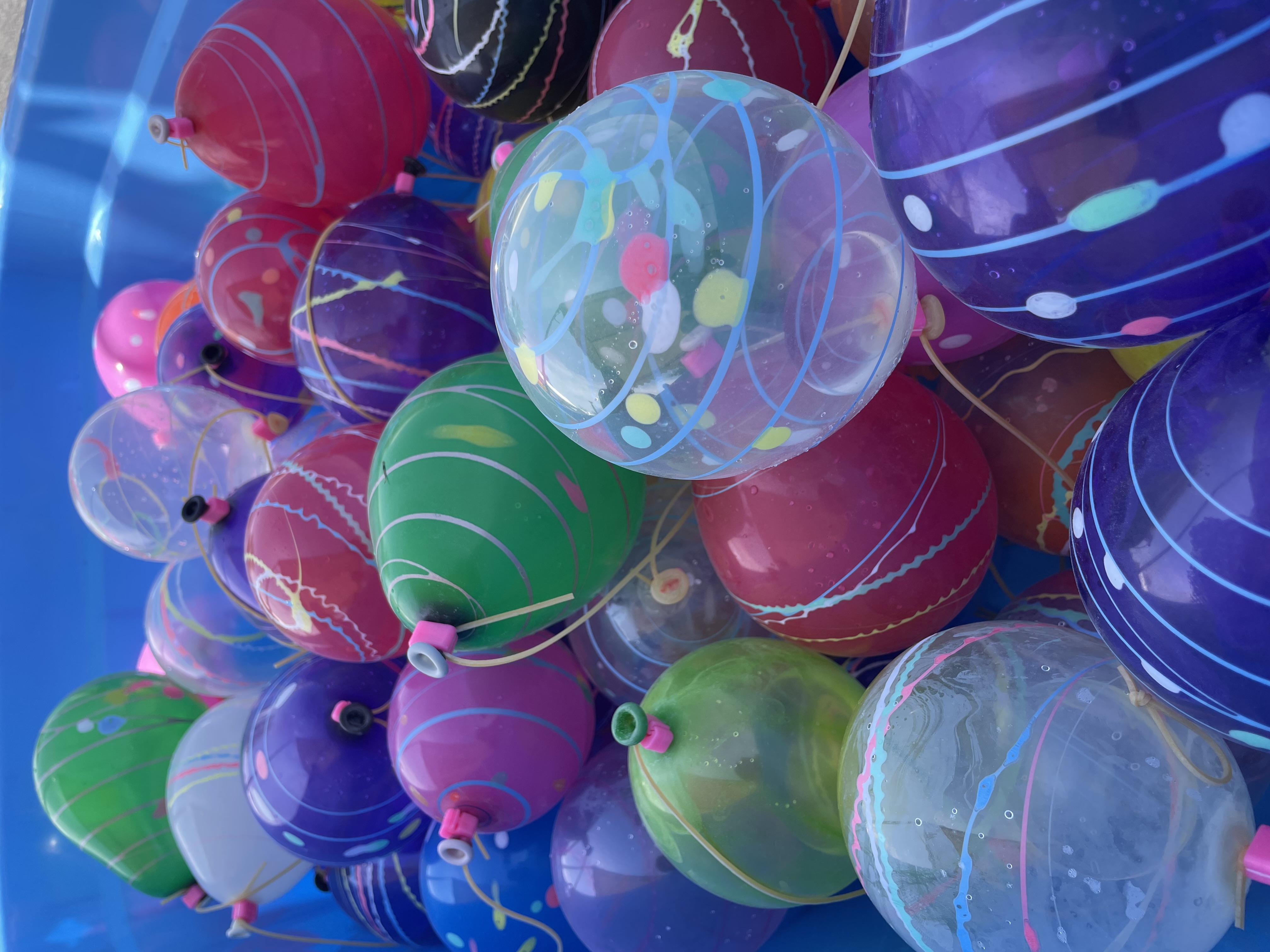 ✨お試し移住14日目✨