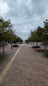 【滞在１日目】はじめまして、女川