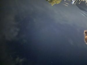 初日、満点の星空