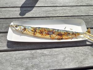 ～女川移住生活26日目～