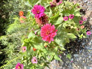 サッカー観戦⚽️