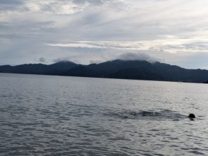 女川プログラム4日目＆5日目