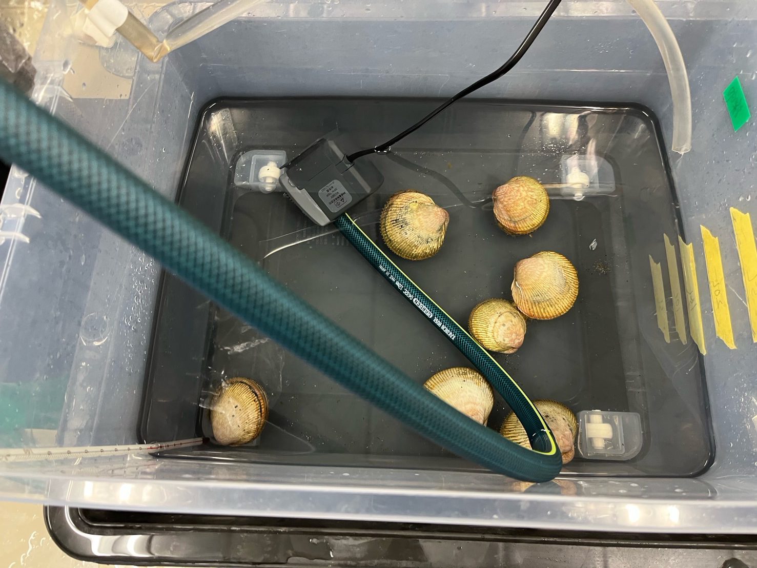 女川での生活①