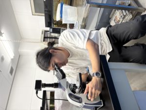 トリガイのインターン