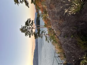 出島大橋を見る