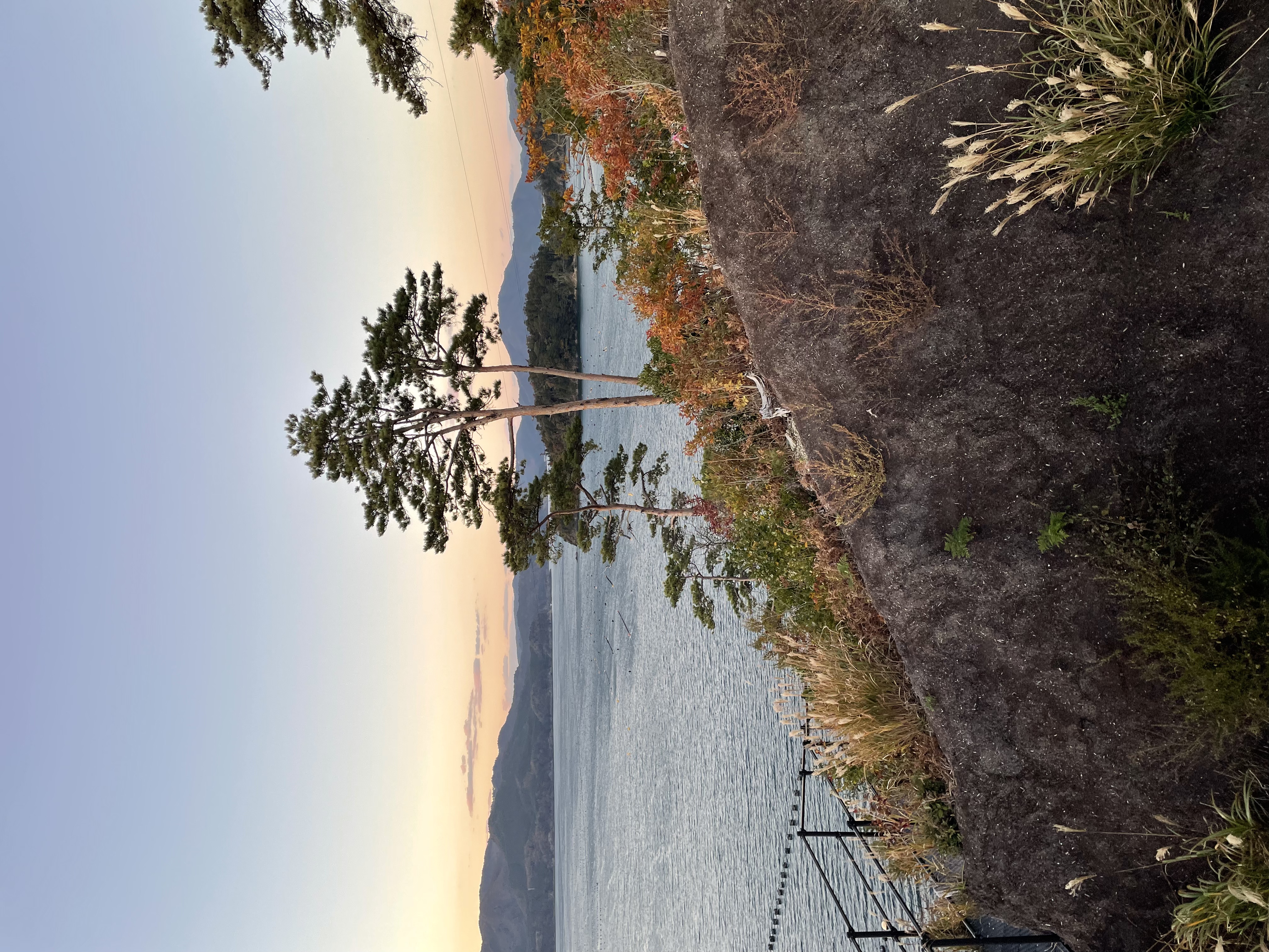 出島大橋を見る