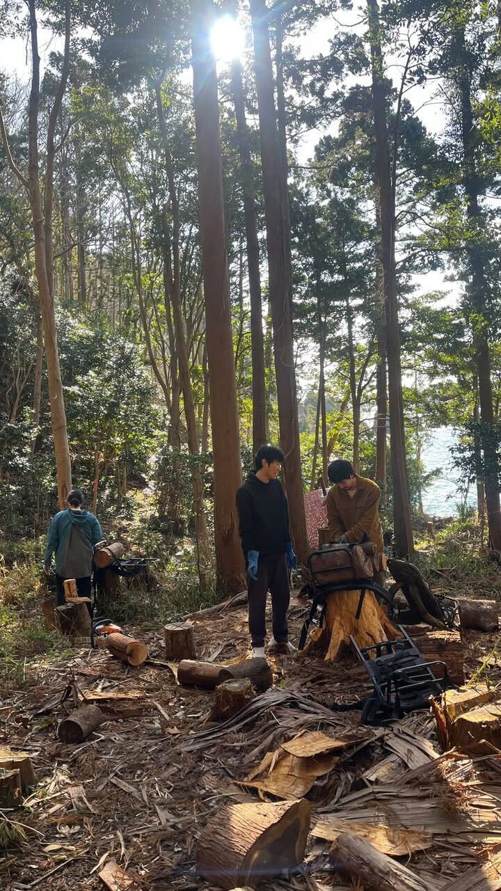 出島で牧運び！