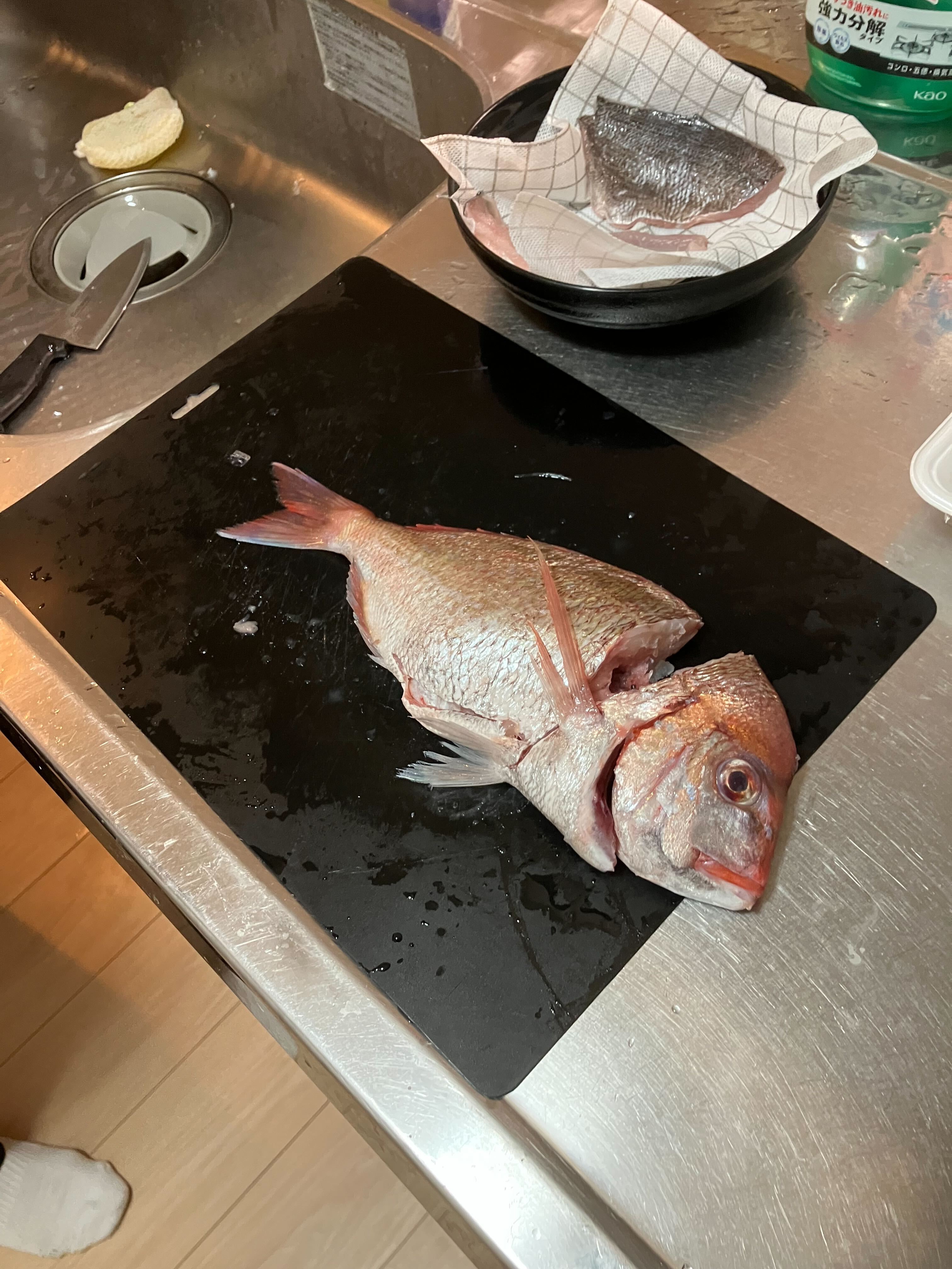 めでたいことはないけど鯛！