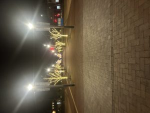 イルミネーション