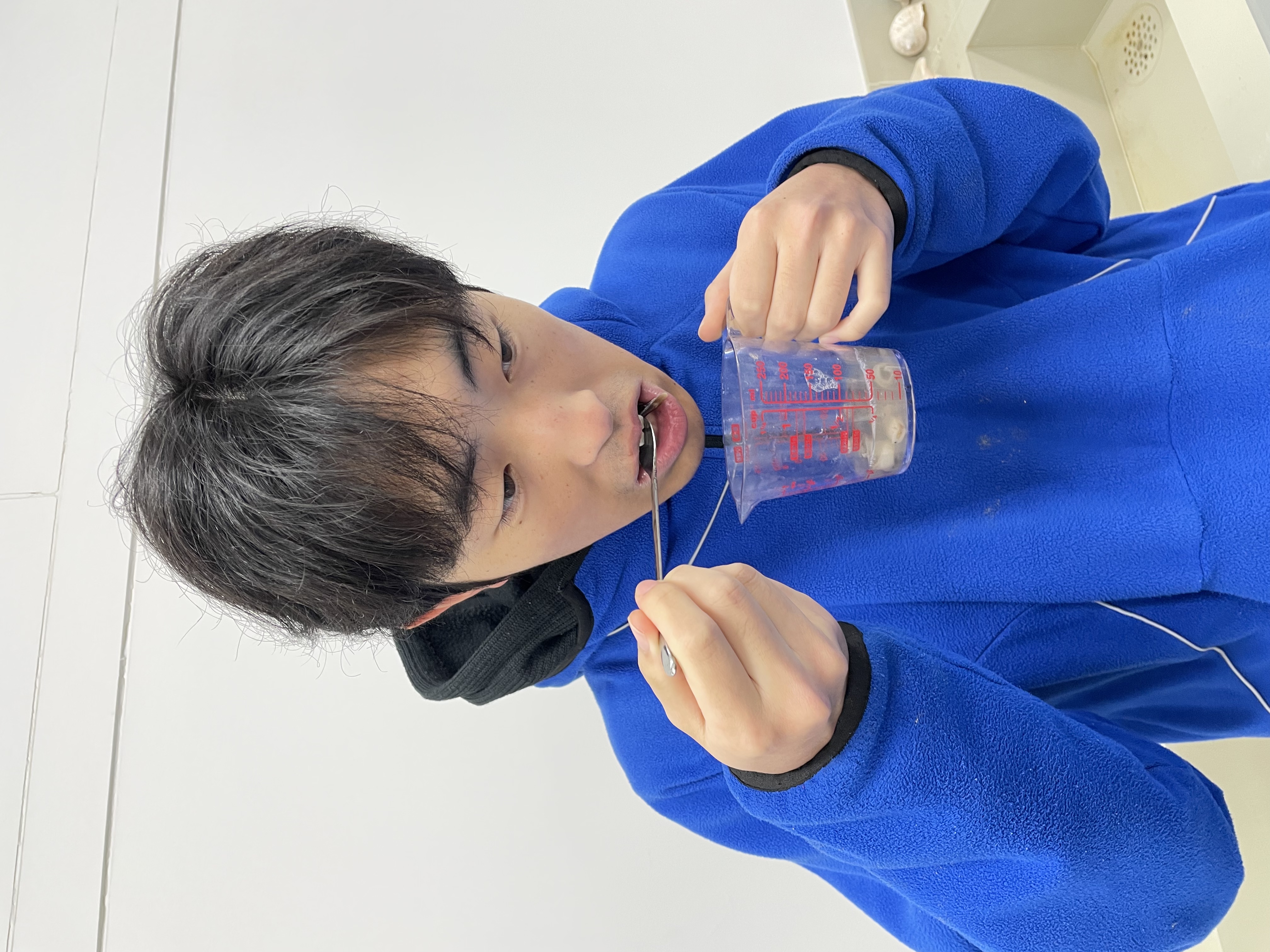 トリガイを捌いて食べる