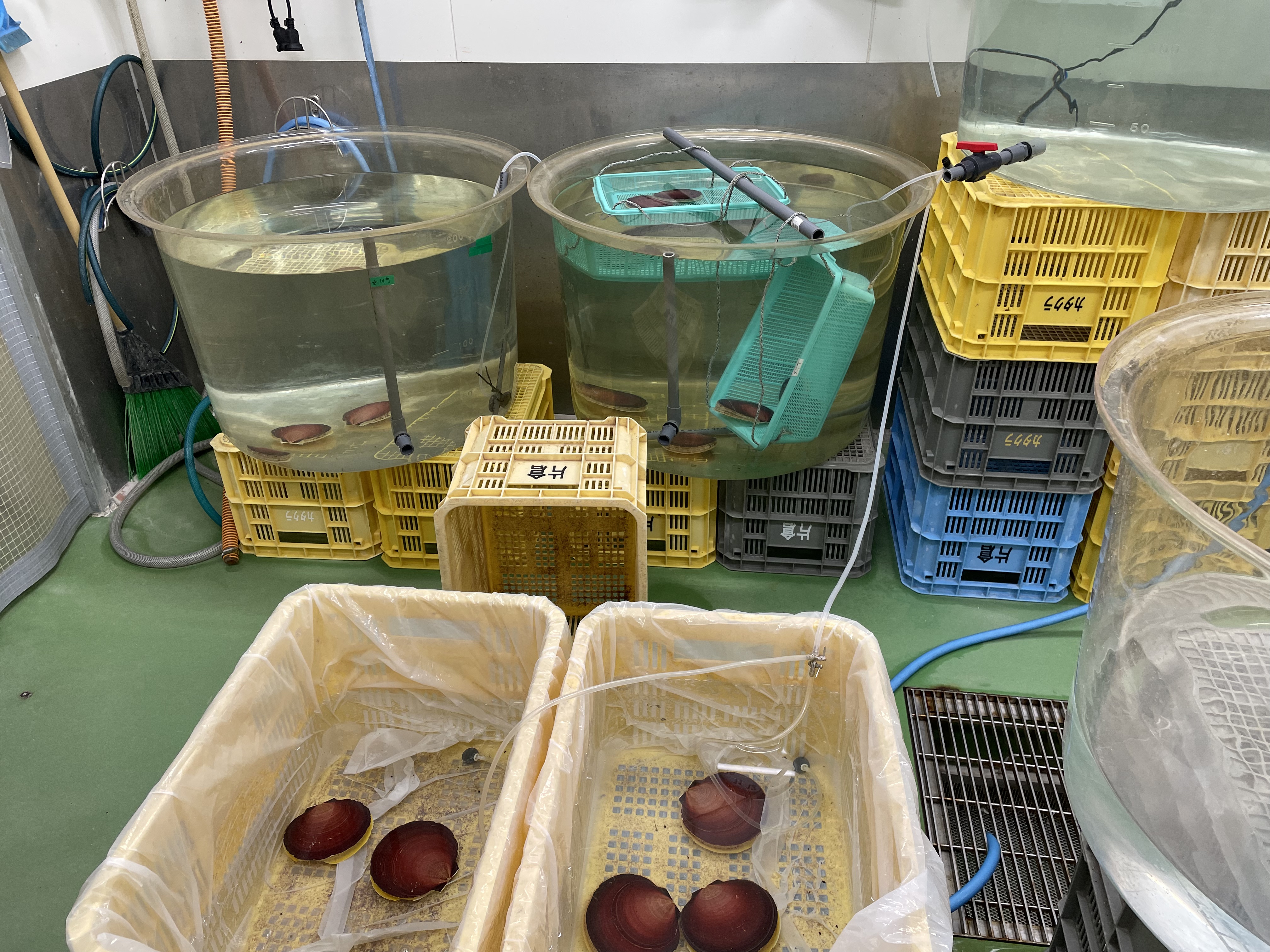 てんやわんやです