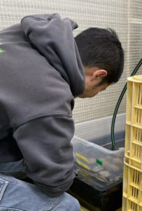 ひさしぶりの採卵