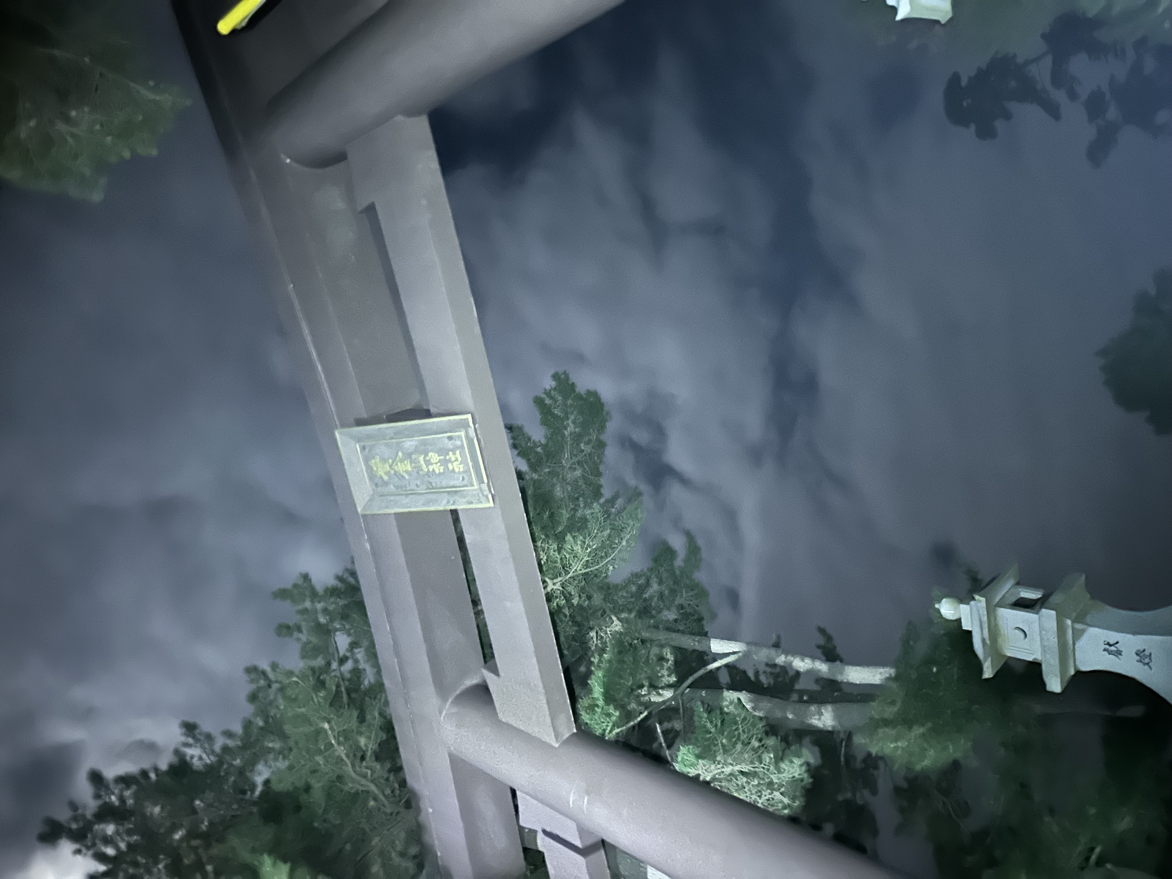 あと1年でお金に困らない！金華山