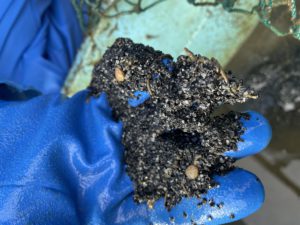 元気にやっています