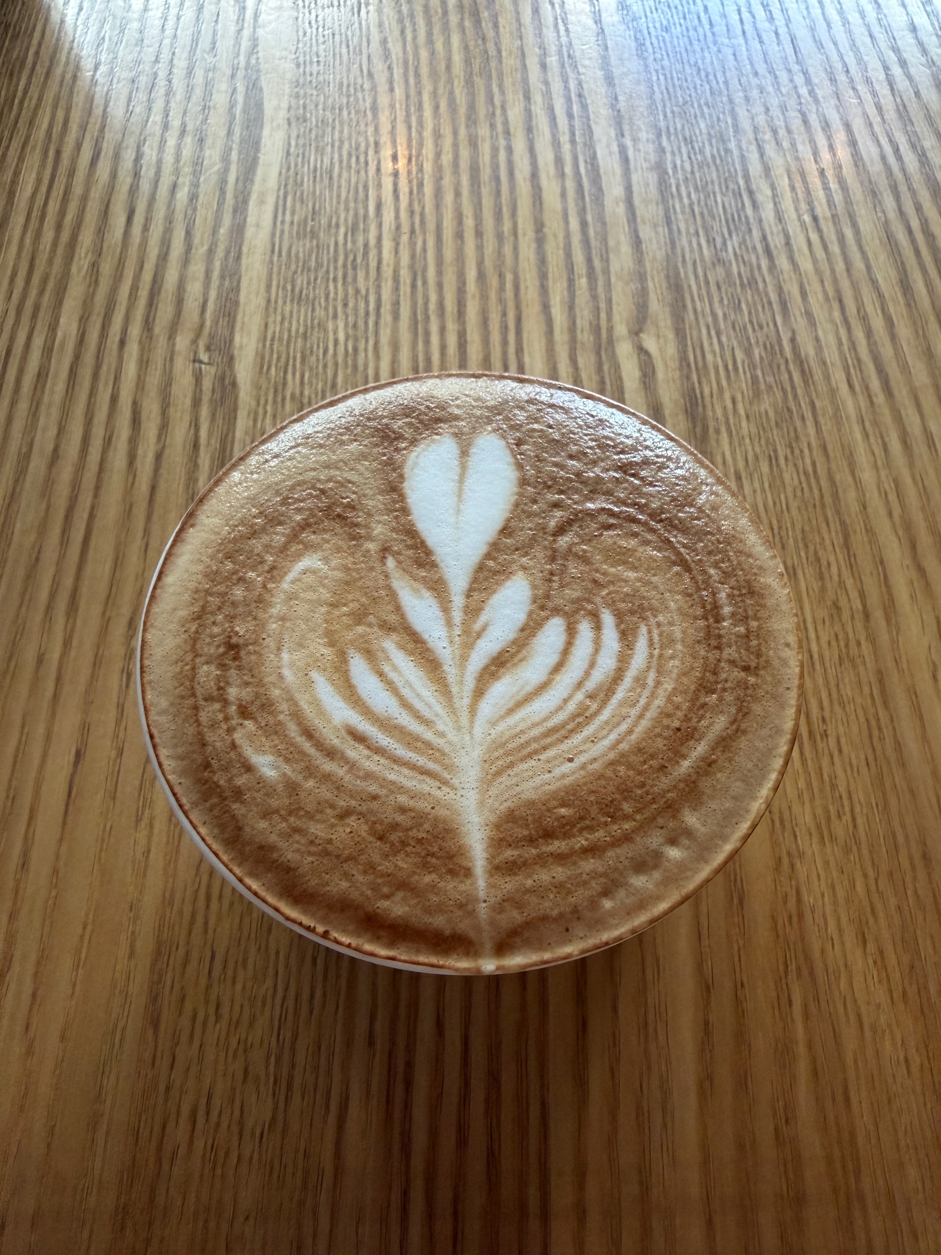 いろかわの日常（滞在9日目）