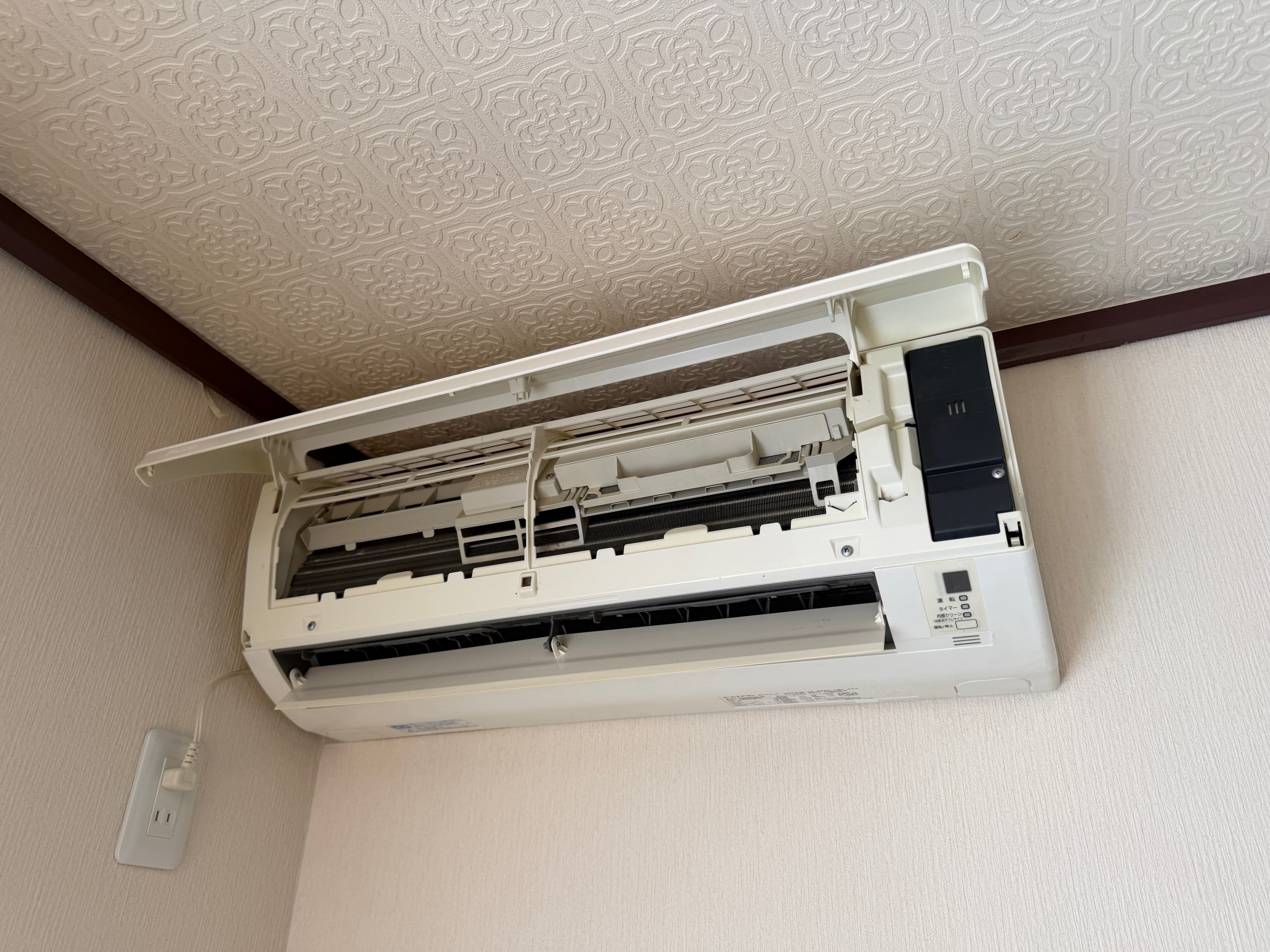 いろかわの日常（滞在12日目）