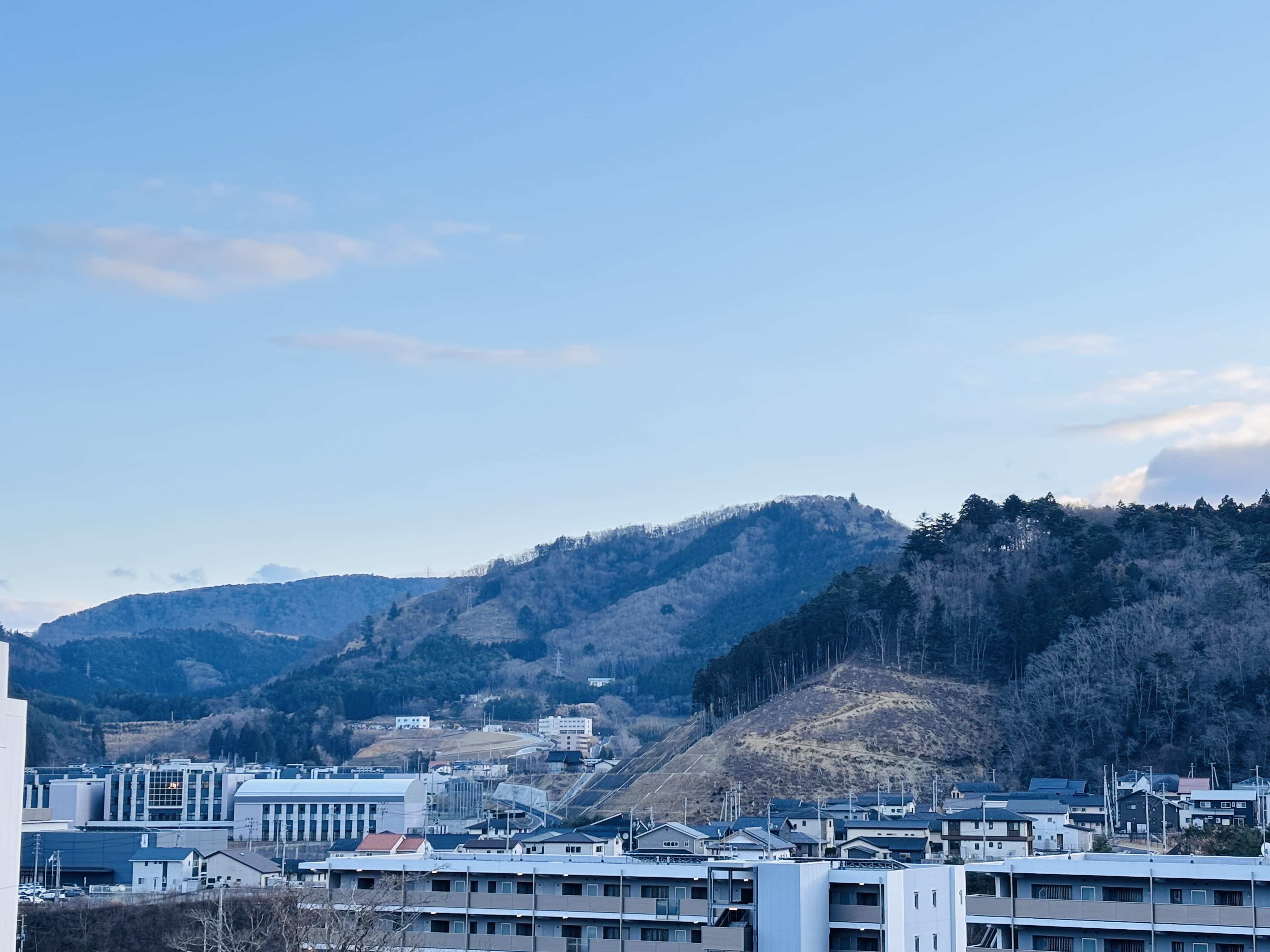 女川の森について考えてみました💬