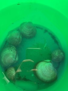 ドタバタ最終日