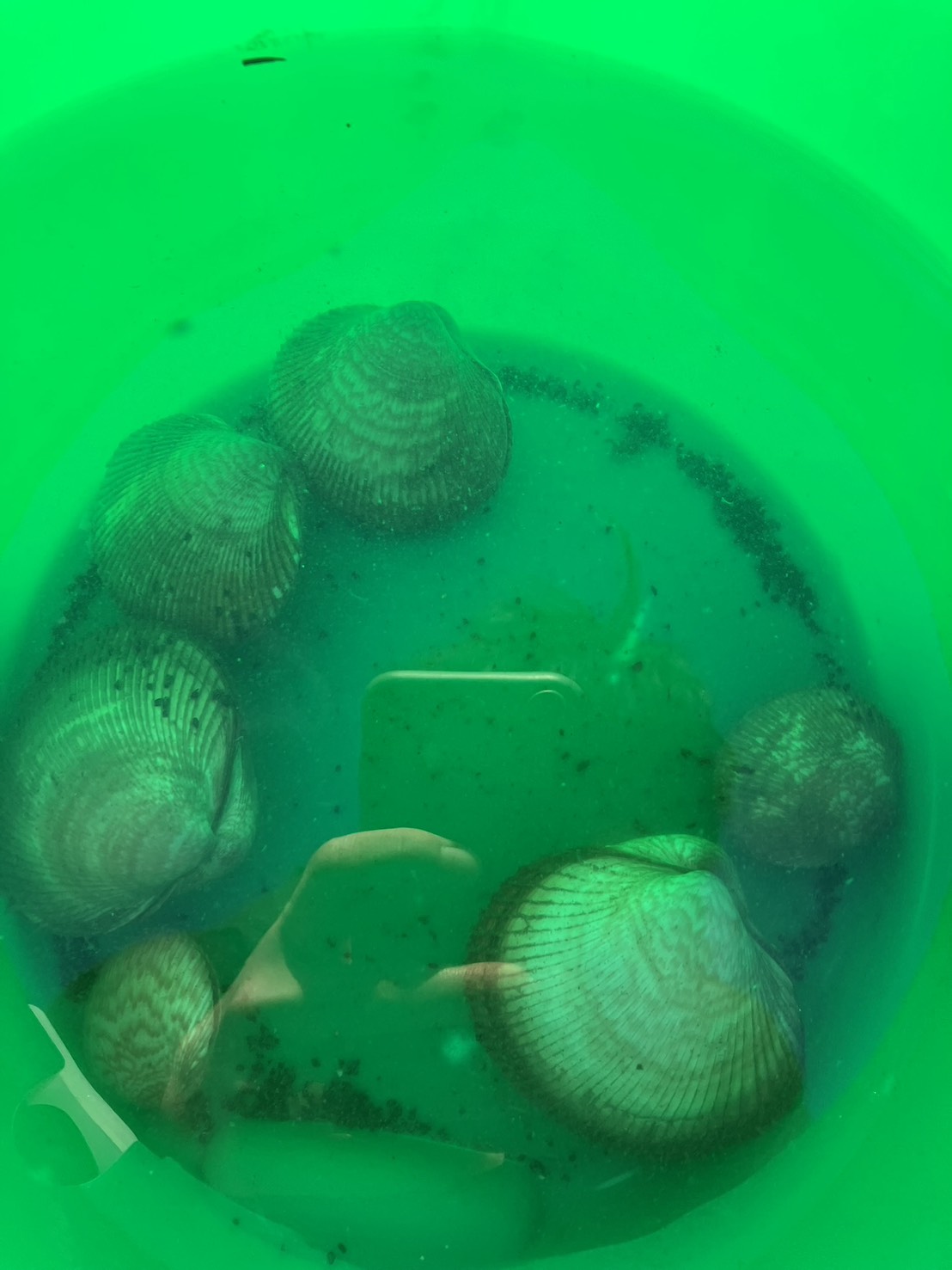 ドタバタ最終日