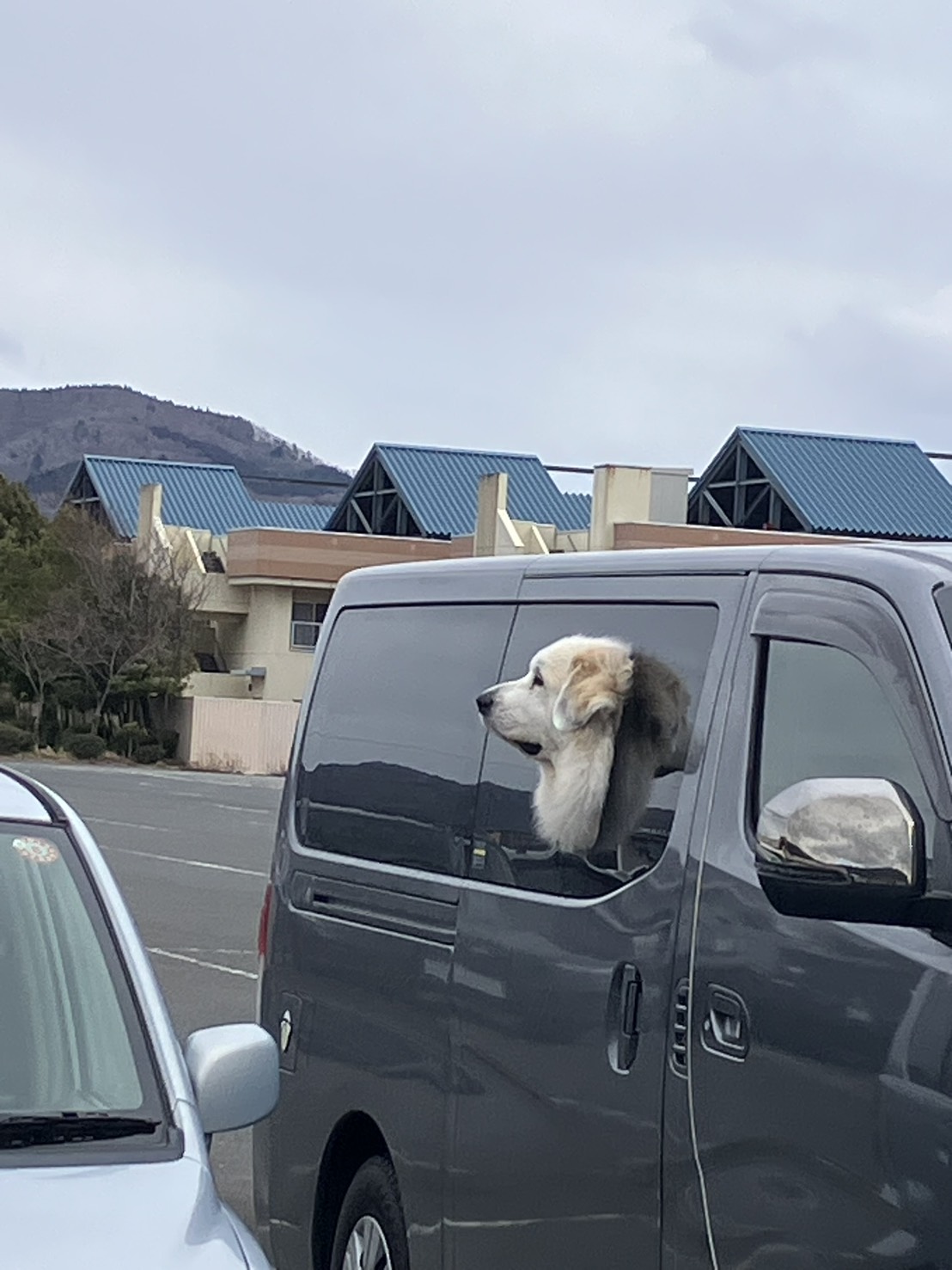 RADのアルバムかとおもた