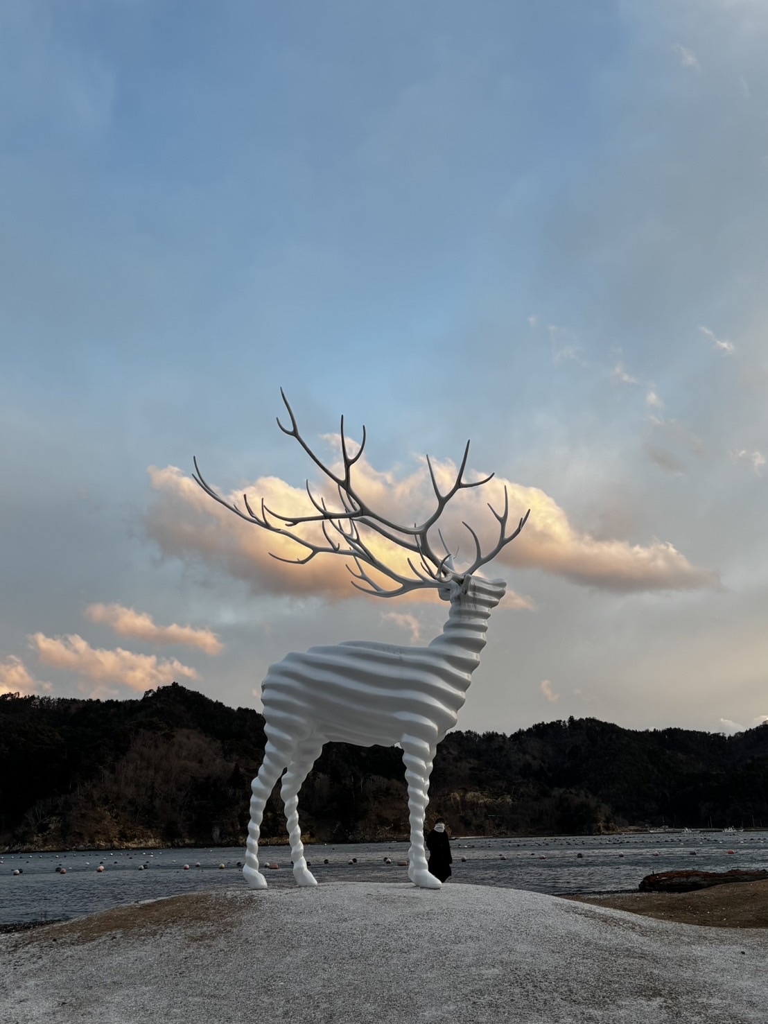 リアス海岸の道のり