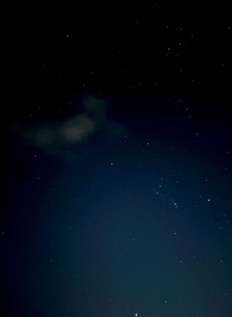 私のお気に入り