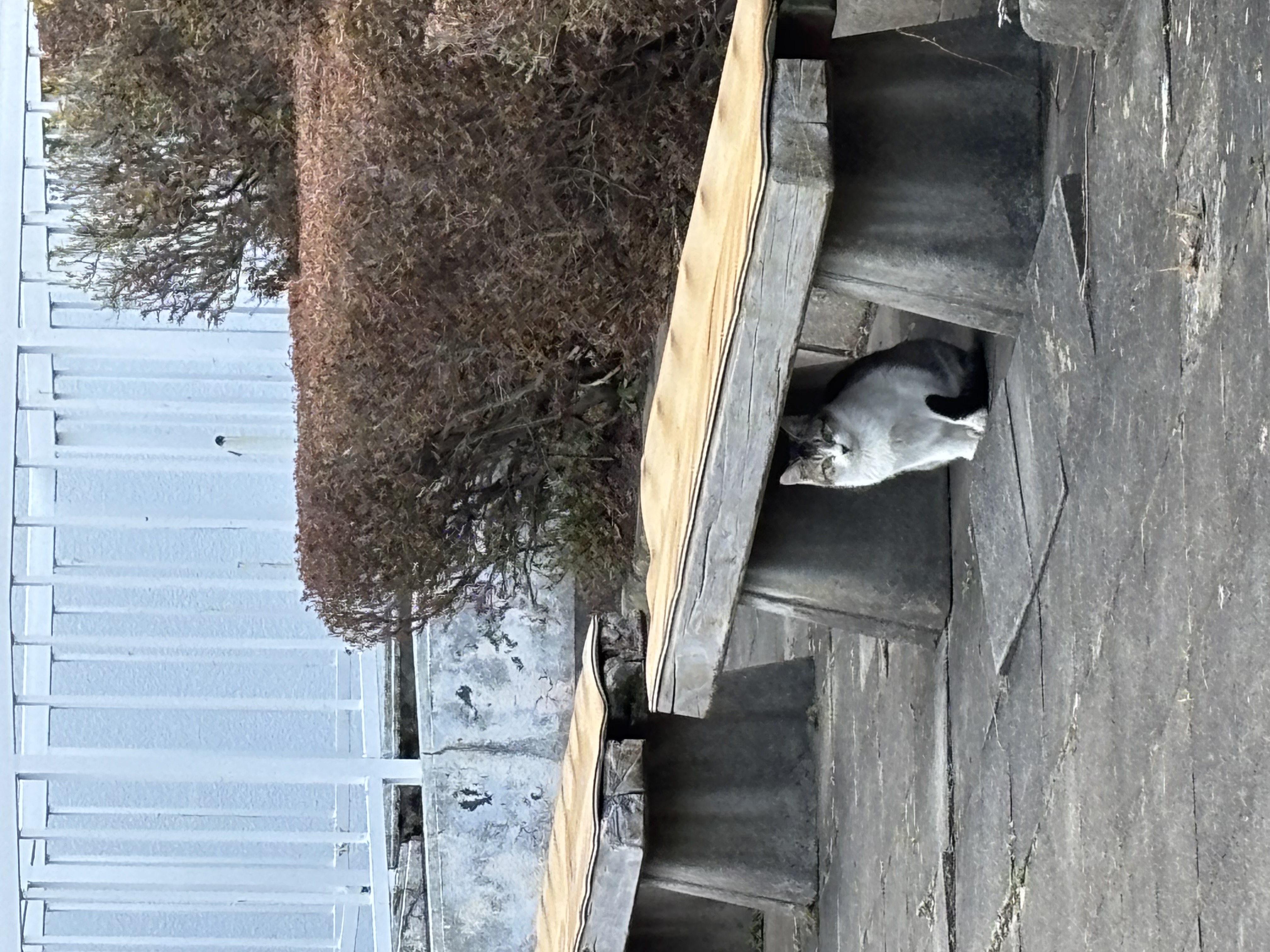 女川生活延長戦！