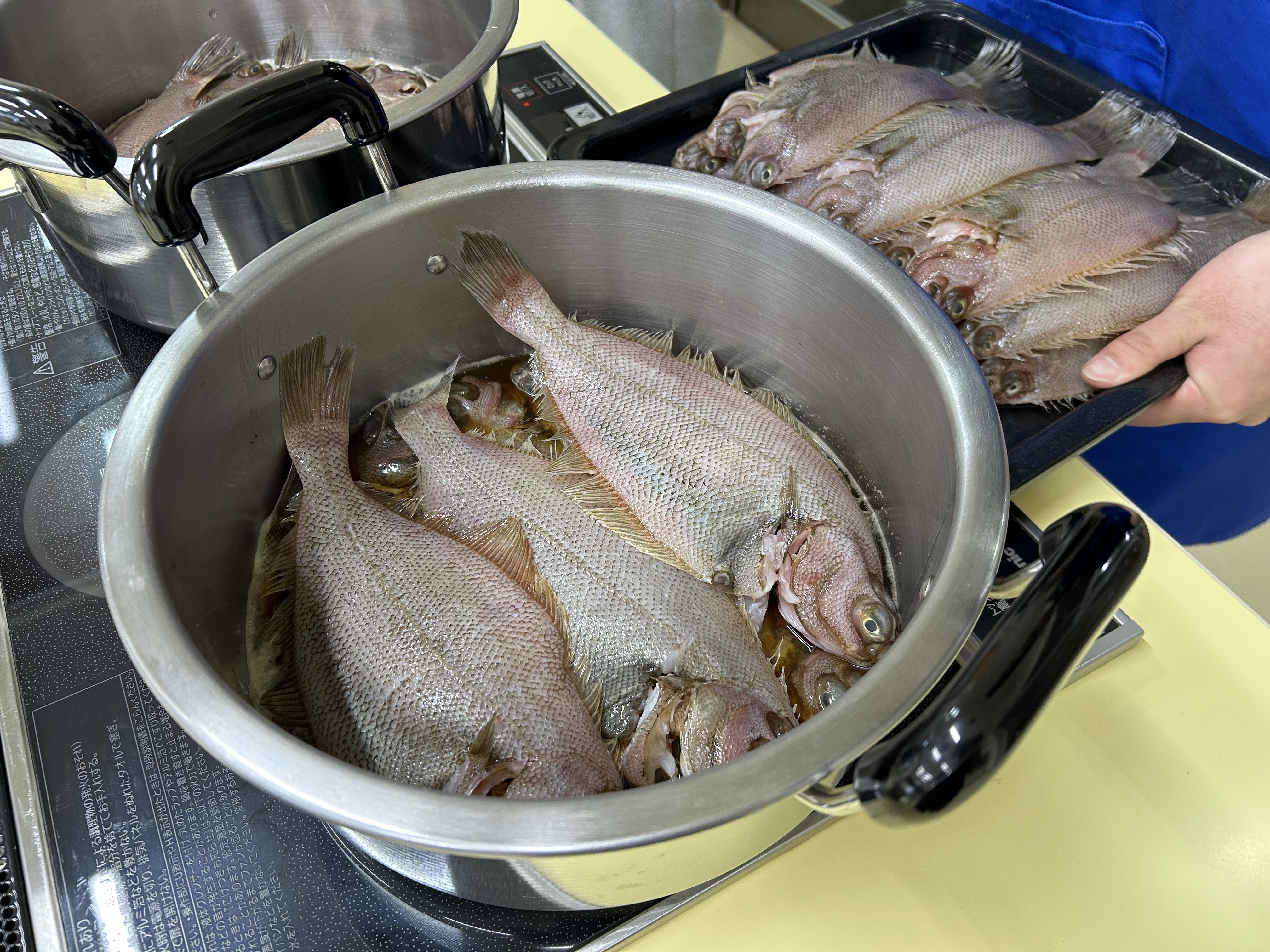 「ニツケカイギ」の運営をお手伝いしてきました！