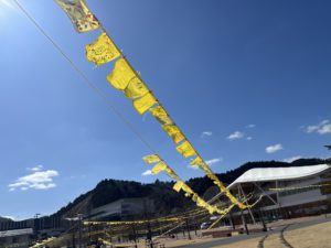 女川お試し移住ブログ②