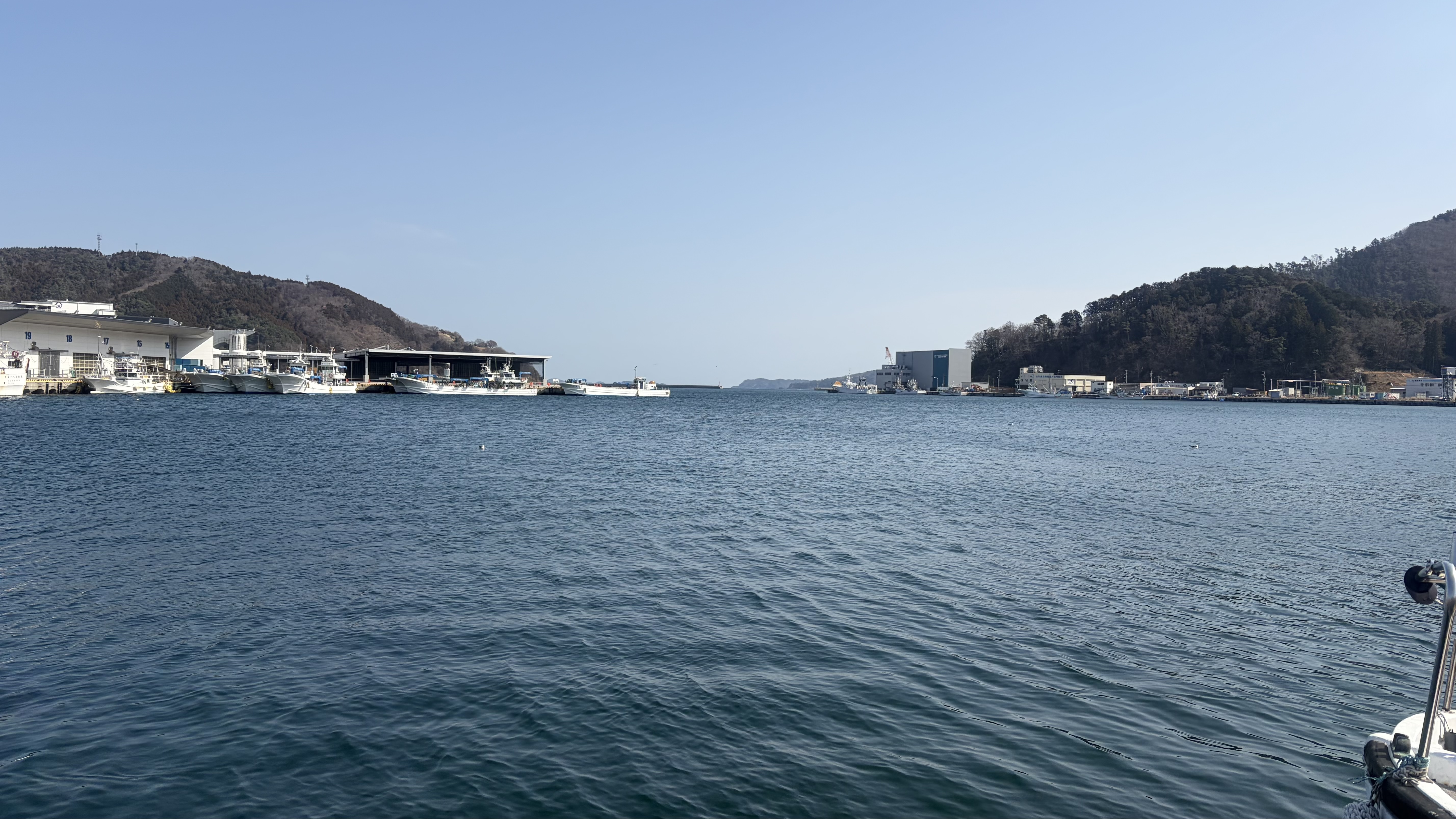 ありがとう女川町🌸