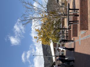 また来ますっっ