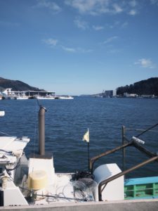 お試し移住1日目　2026.3/11