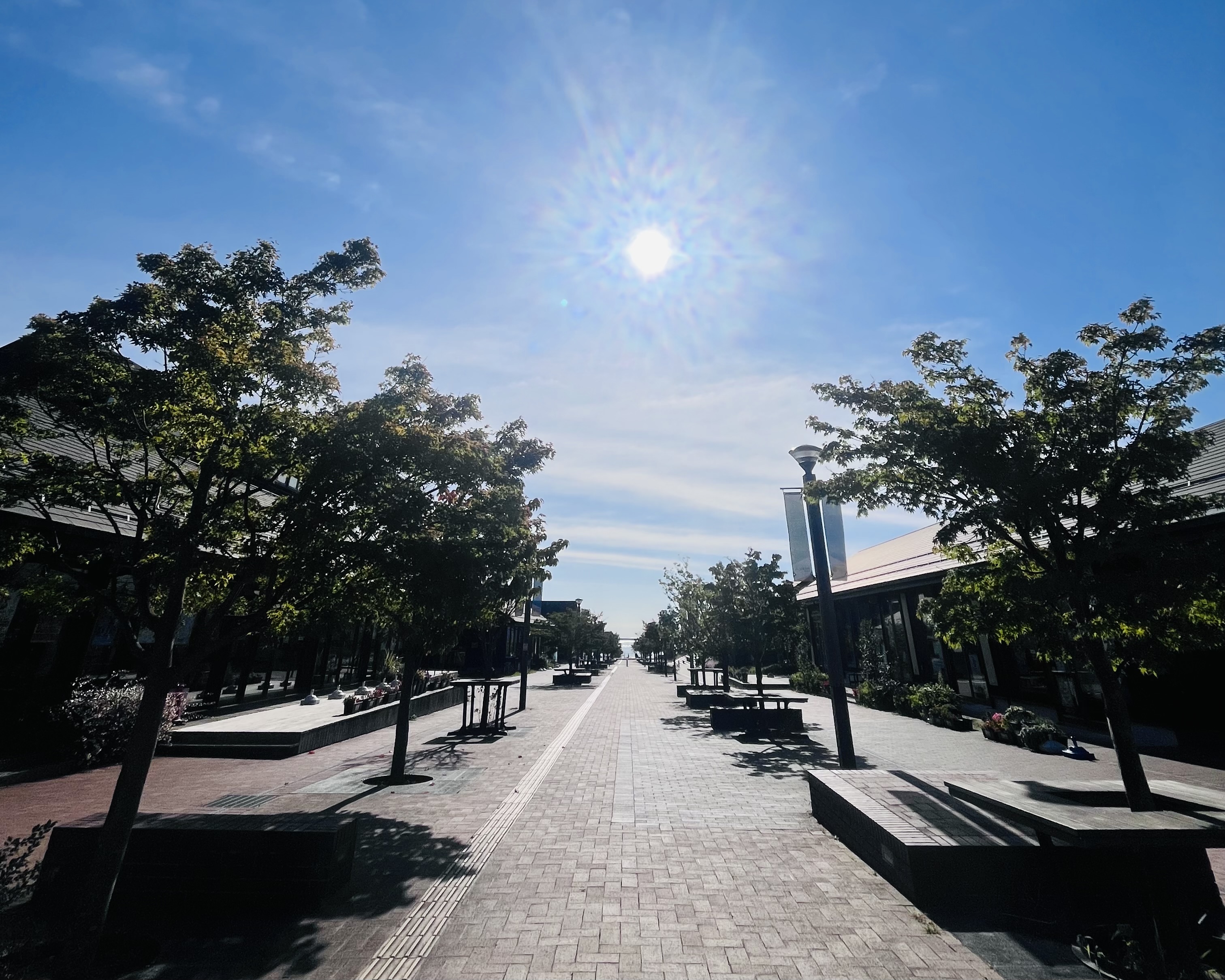 「まえがき」Say hi to Onagawa！