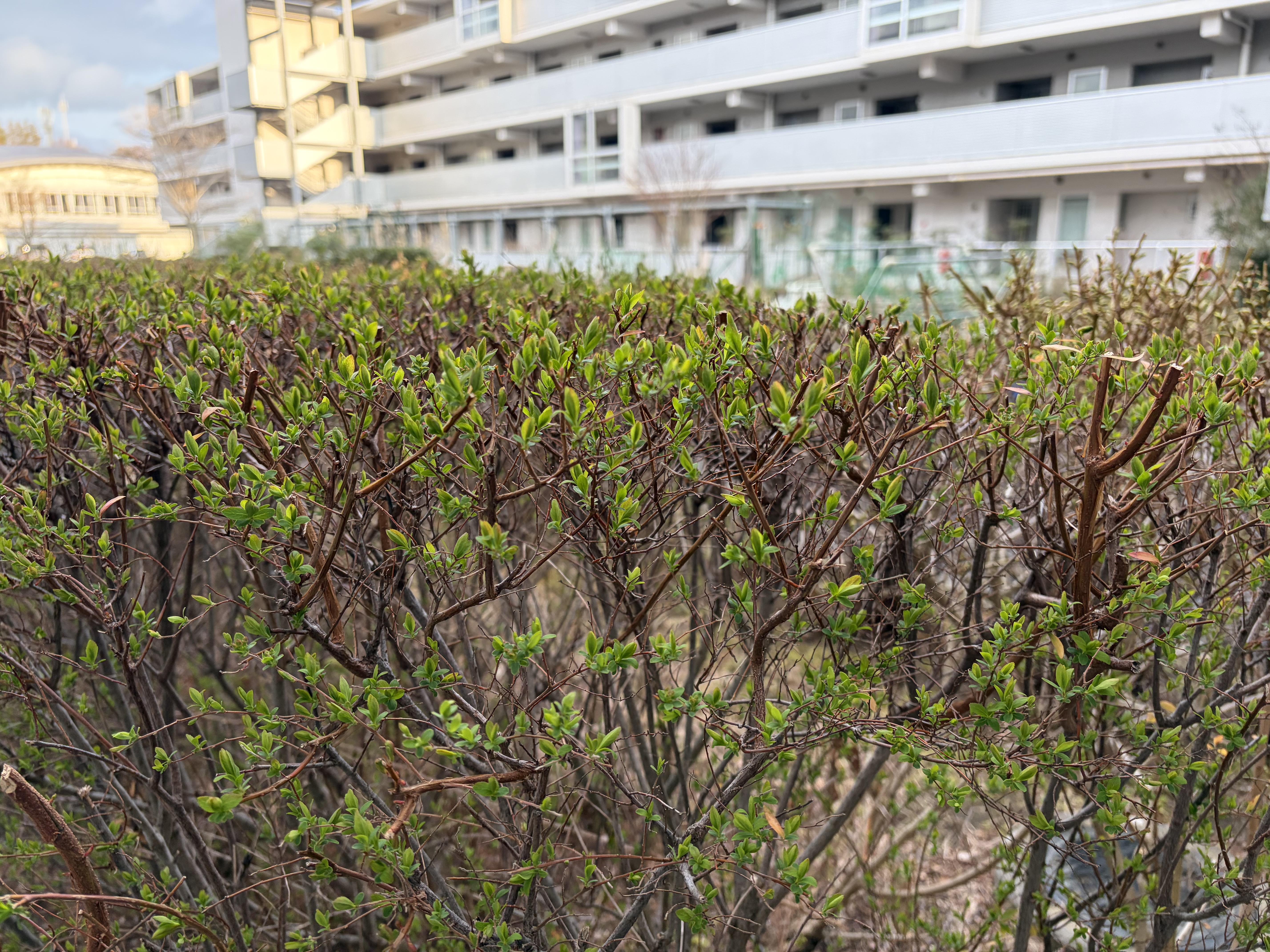 季節が一つ進む