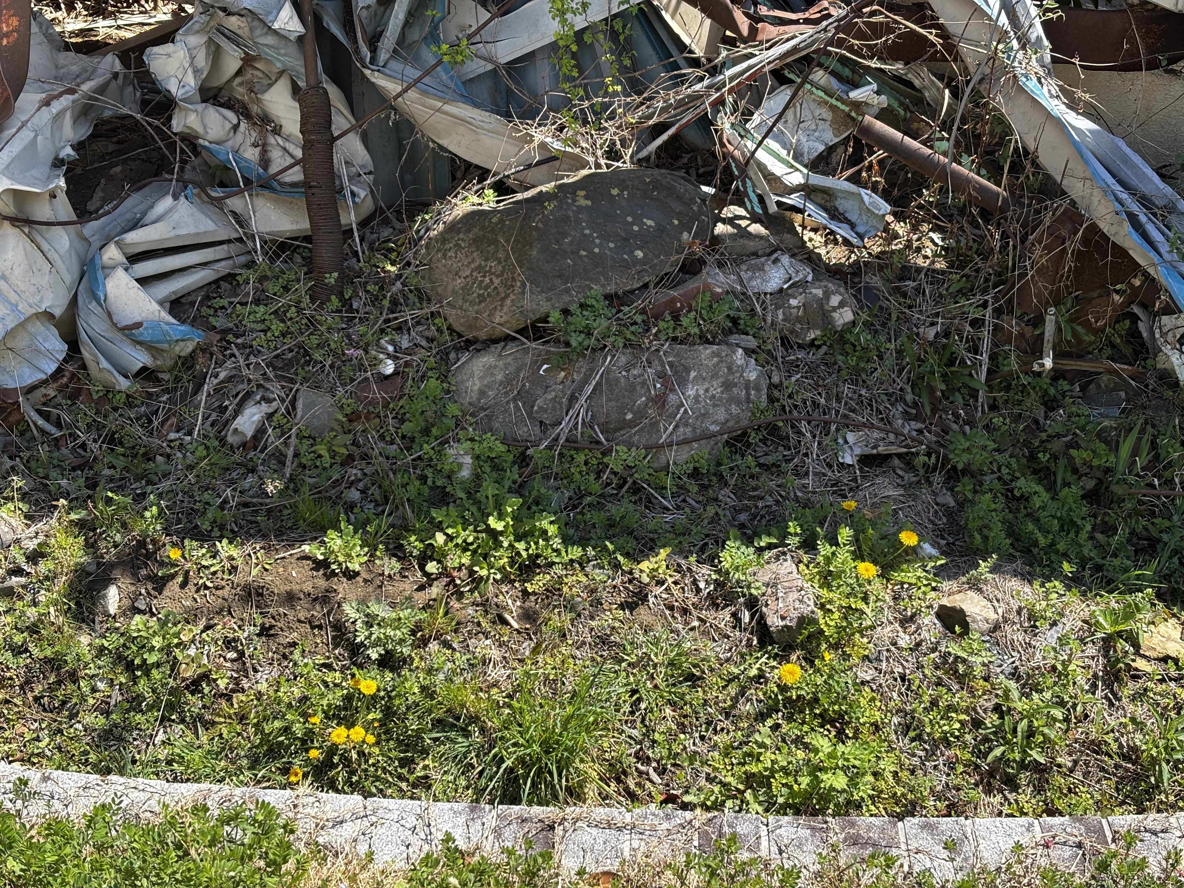 新入生合宿 2日目