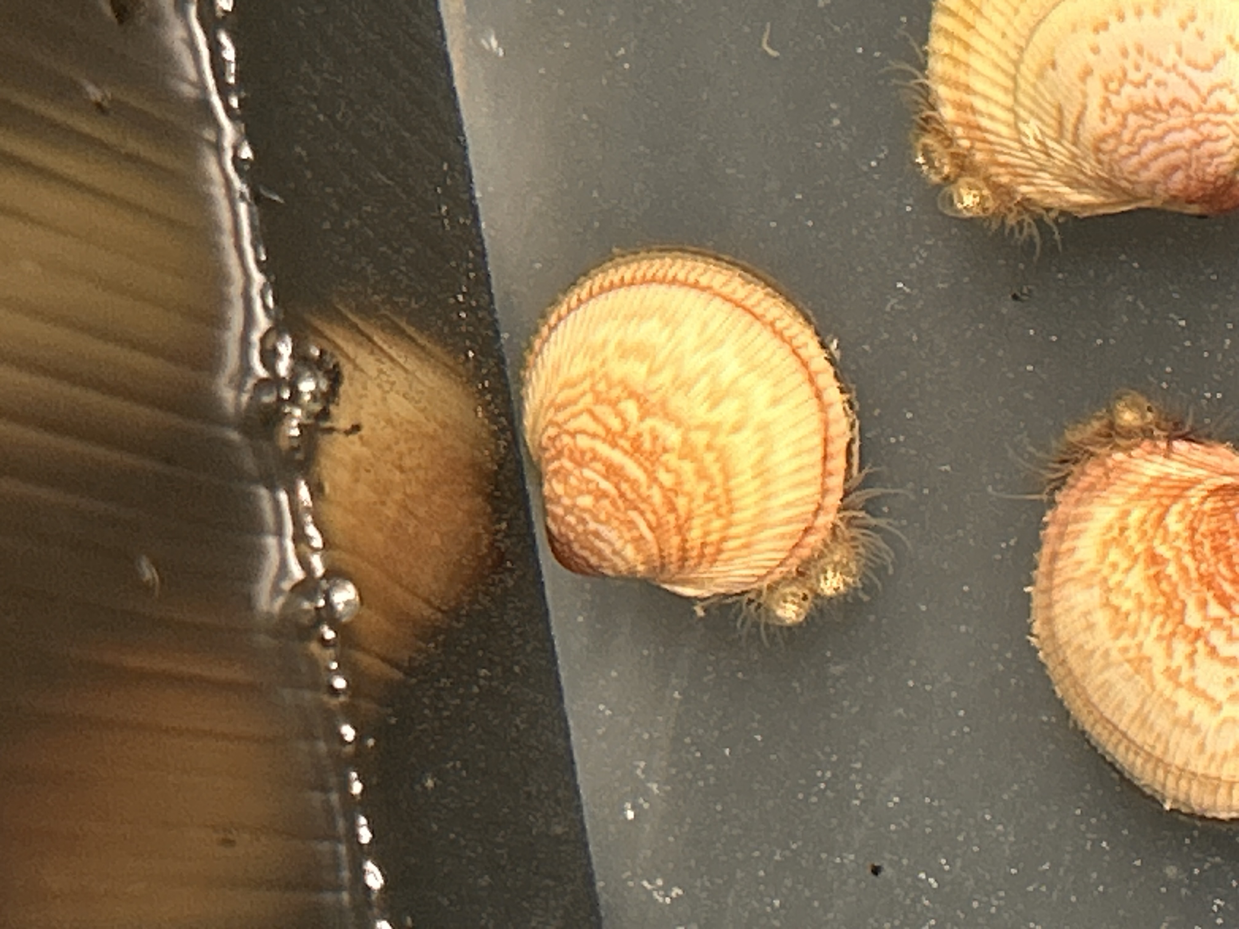 Day 2 -生き物可愛い！💕-