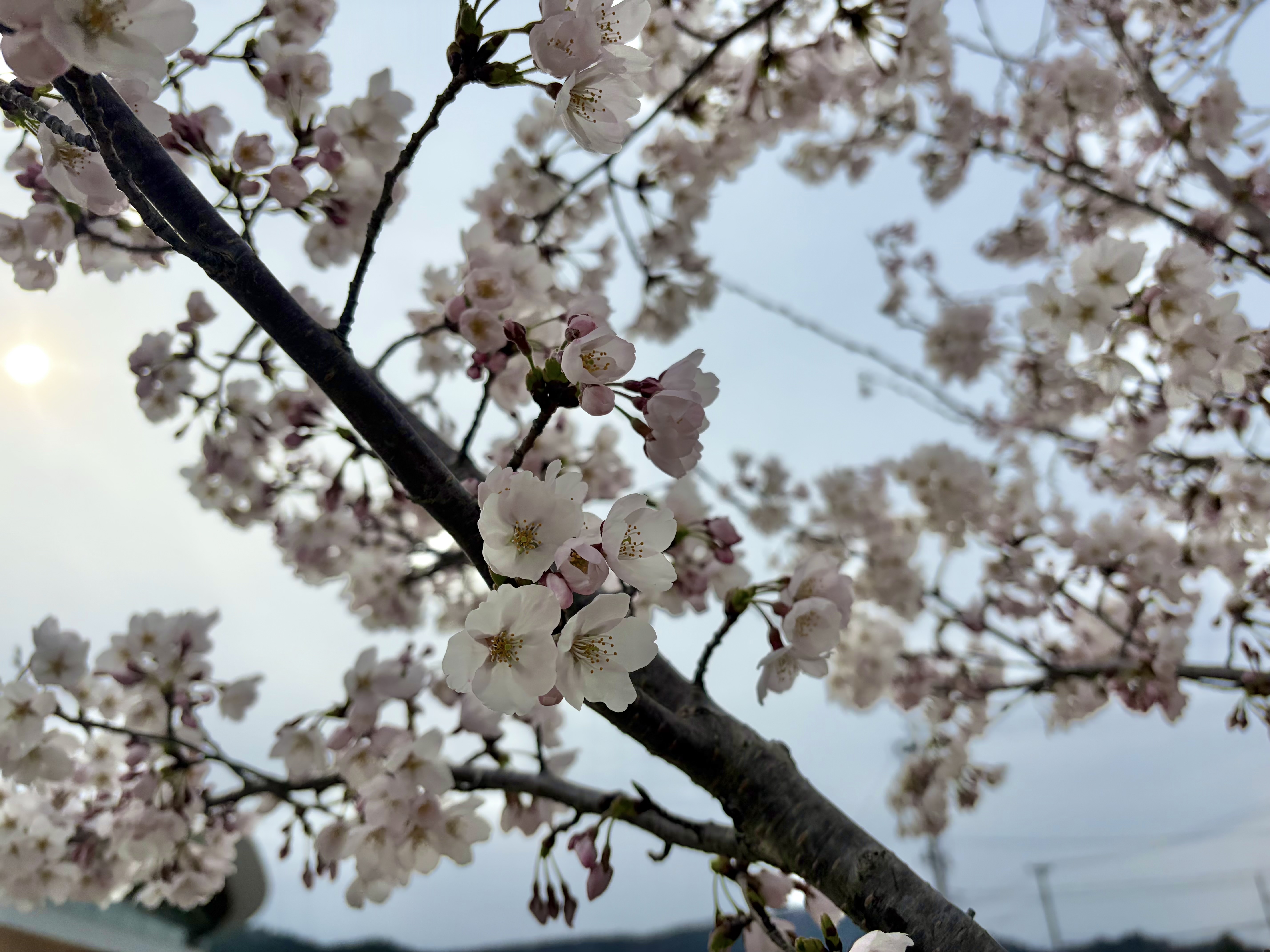 女川で迎える、人生の新章スタート