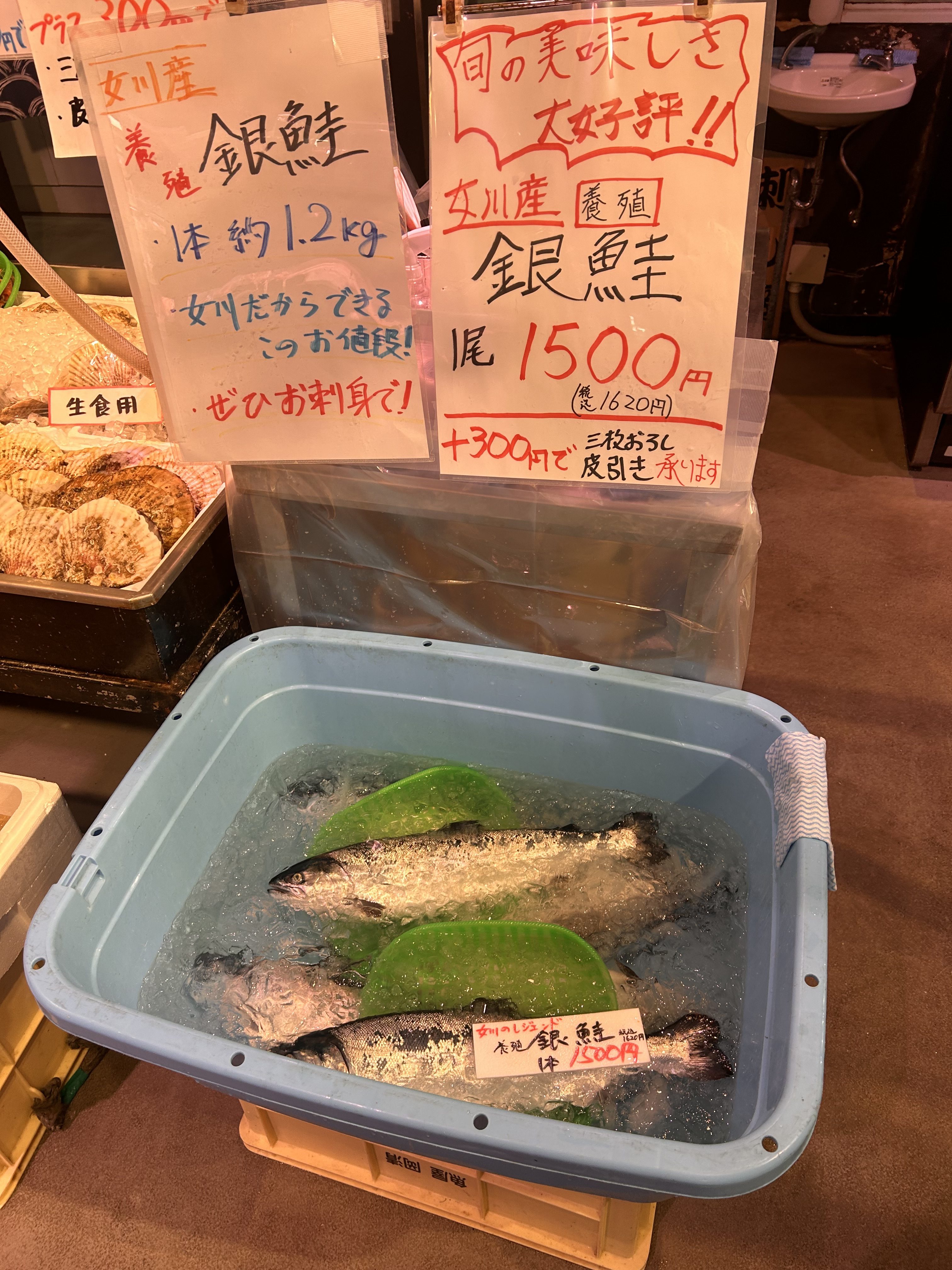 銀鮭を買って捌く