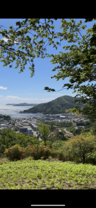 山菜を取りに行った日🗻