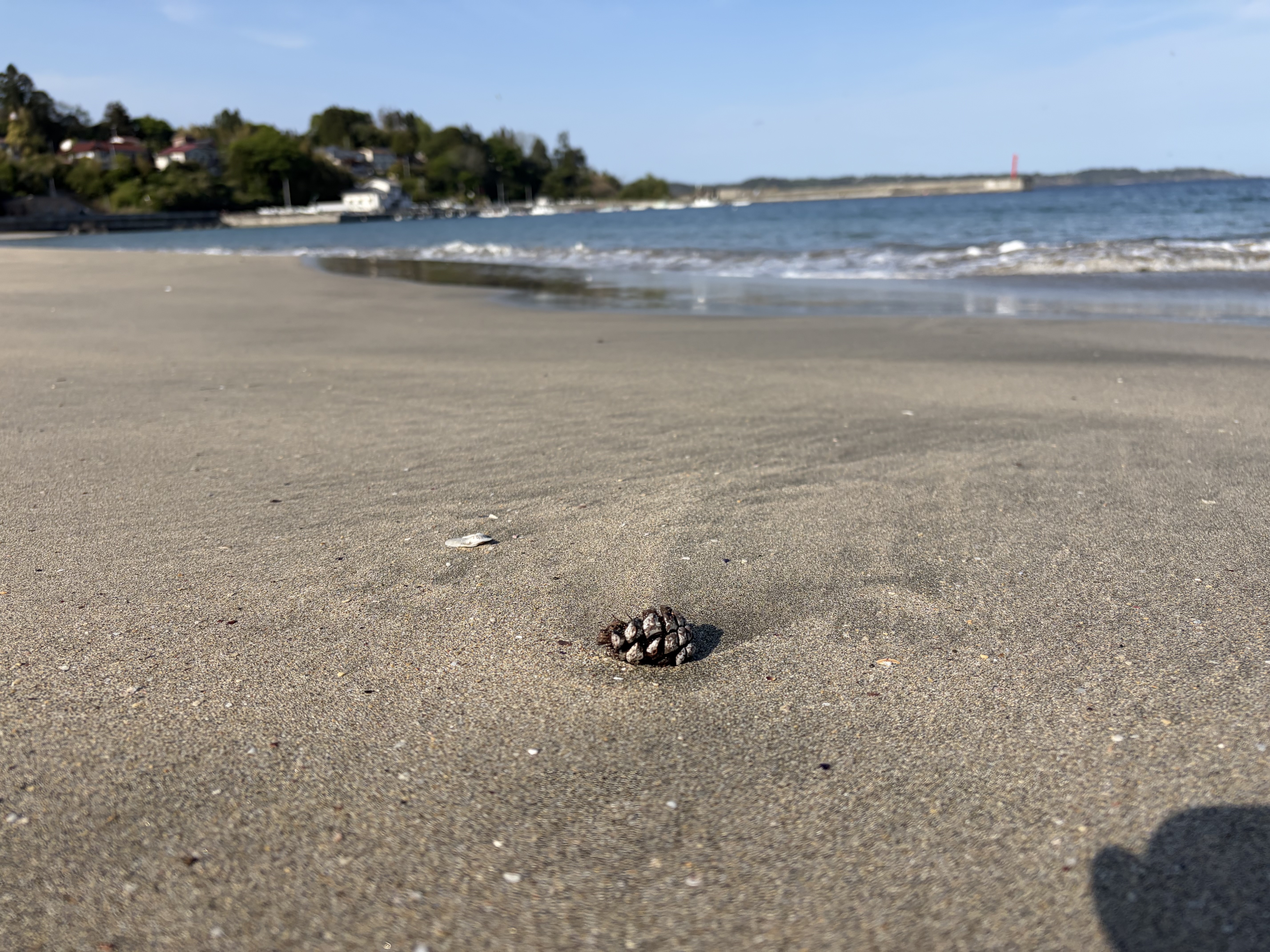 北海道とは違う、三陸の砂浜