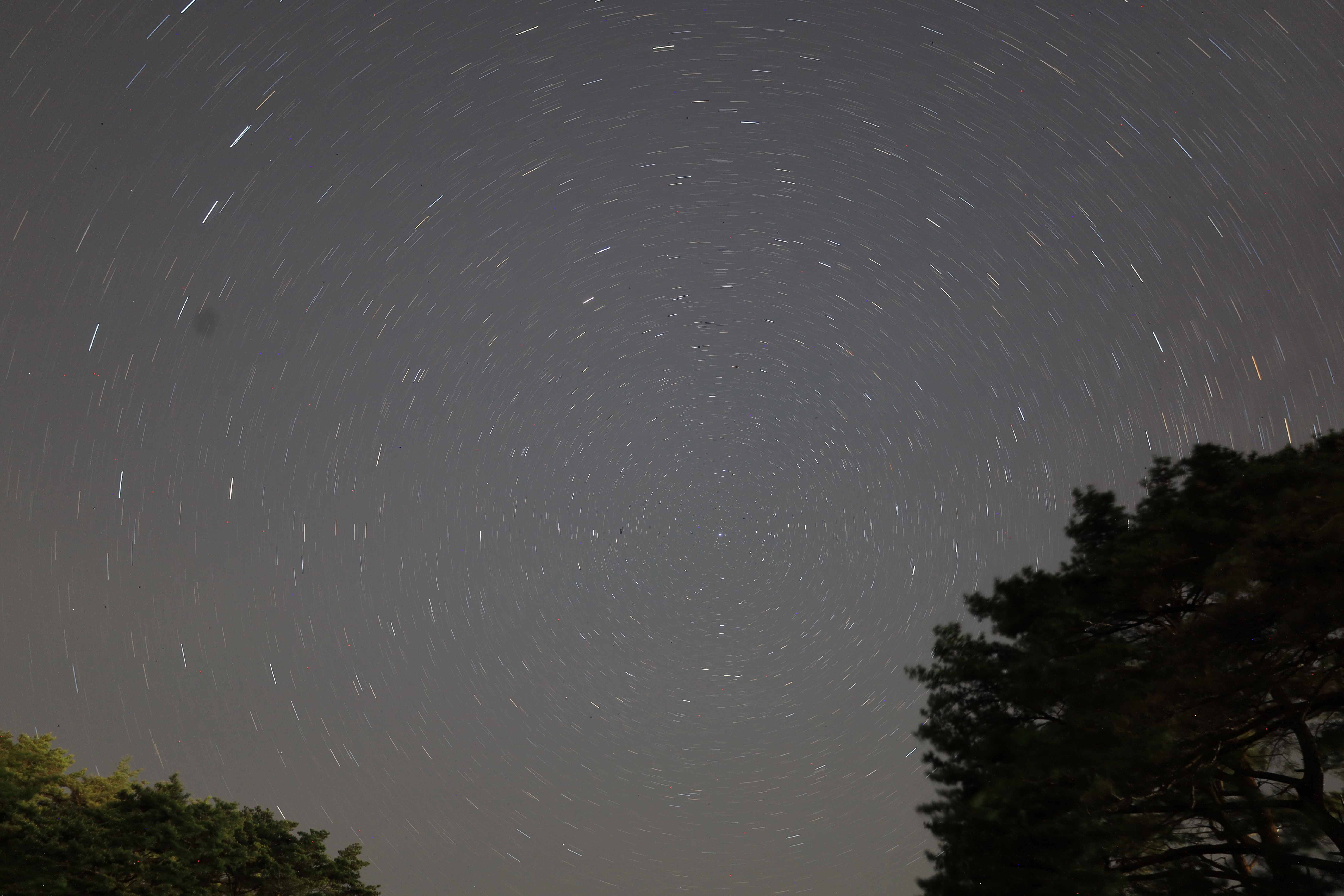 女川の星空