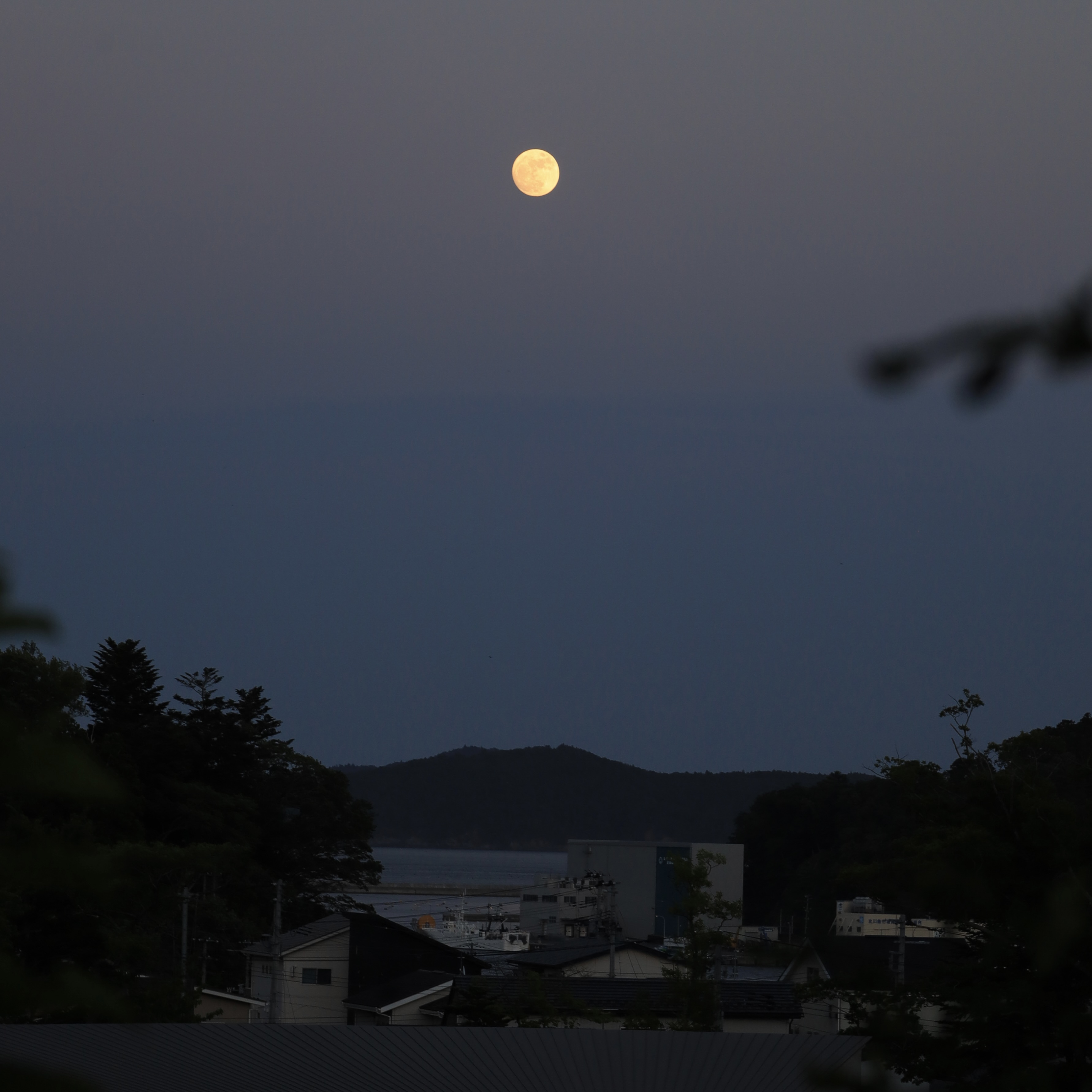 満月の夜